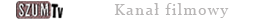 Kanał filmowy