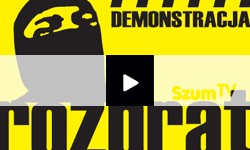 Rozbrat - decydujące starcie :: Demonstracja 20 marca 2010