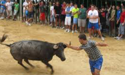corrida