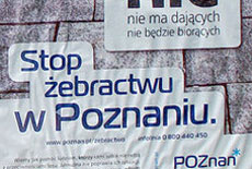 zebractwo