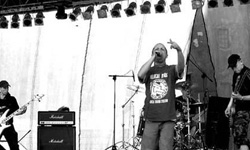 zielone-zabki