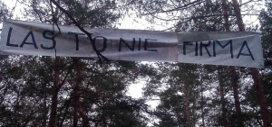 PRZECIWKO WYCINCE LASÓW OCHRONNYCH POZNANIA