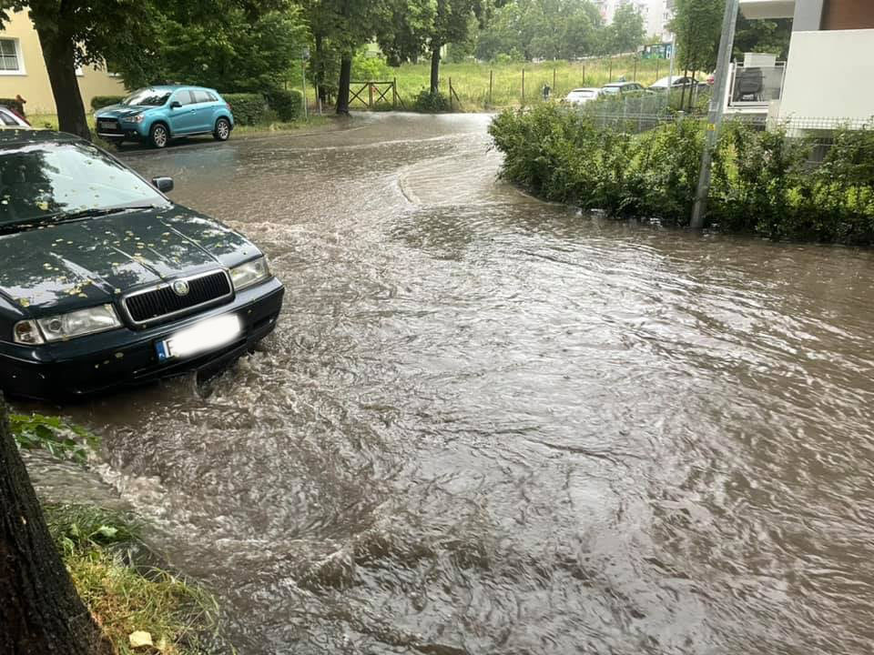 zdjęcie z grupy Zielony Sołacz czerwiec 2021 16c85917 381b 48cf babc 3ea76a3682f9 1