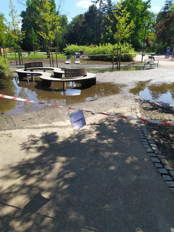 zdjęcie z grupy Zielony Sołacz czerwiec 2022 214177738 1012814339464694 4166588419390815908 n