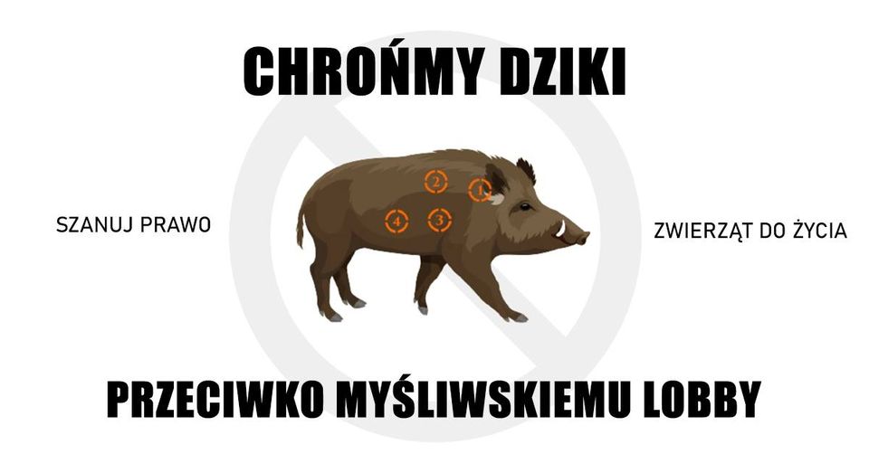 271214587 4602820029765123 8105787166945157628 n