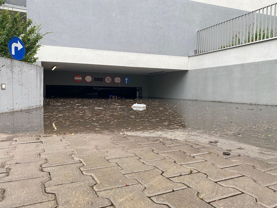 zdjęcie z grupy Zielony Sołacz czerwiec 2021 7537581d e2e3 4a51 b79c dd3b6e7ee5a1