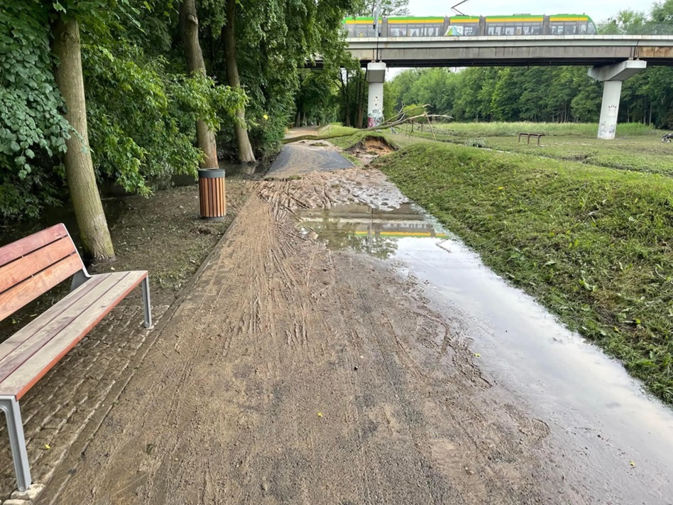 czerwiec 2021 zdjęcie ŁW adcf7556 4724 4e87 877b d9f6c03ff2d4