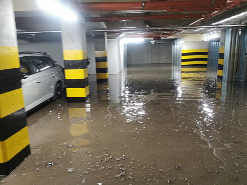 zdjęcie z grupy Zielony Sołacz czerwiec 2021 f28cb19c dec7 4c7a be32 2e038cd167ee