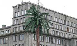 palma warszawa