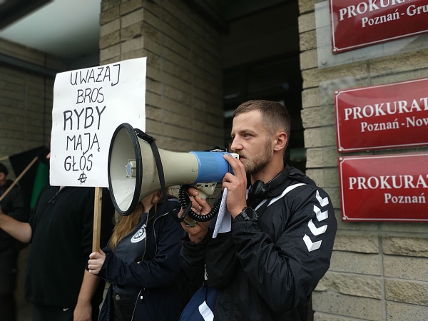 &bdquo;Gdy truciciel bezkarny, los ryb marny&rdquo; - relacja z pikiety