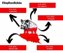 Rząd szykuje kolejny zamach na przyrodę