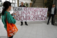 Dzika reprywatyzacja klina zieleni?