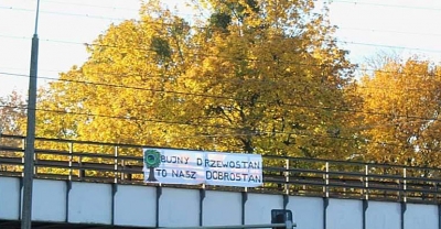 Bujny drzewostan to nasz dobrostan