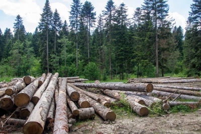 Turnicki Park Narodowy &ndash; ciągle jeszcze go nie ma, ale w końcu musi powstać!