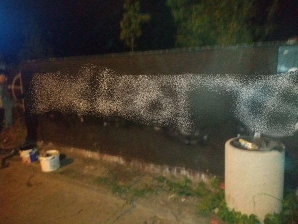 Nocne ataki boj&oacute;wkarzy przed Marszem R&oacute;wności