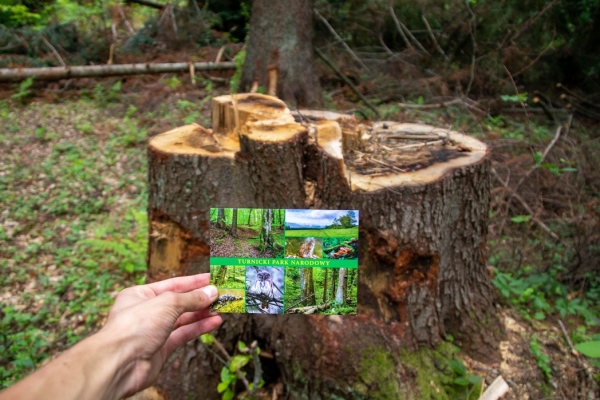 Reakcja na rozbicie obozu Inicjatywy Dzikie Karpaty