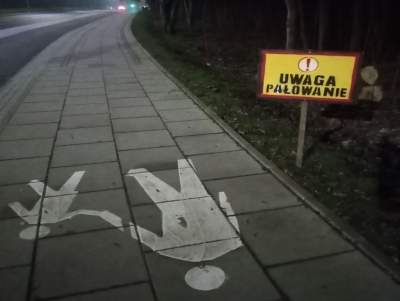 Specustawa "Lex Ardanowski" nie powstrzyma ruchu anty łowieckiego